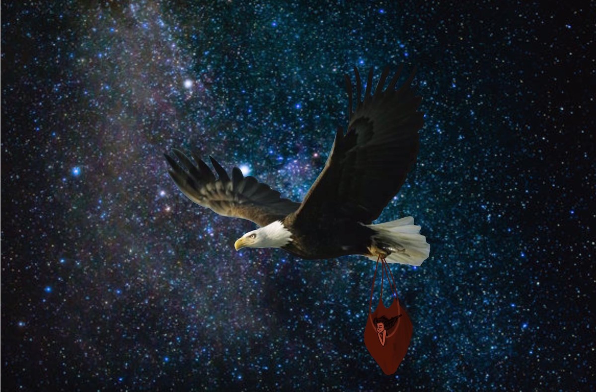 image_82c2d809-e1c0-466b-b1cc-a7bf0973ede1.img_2568